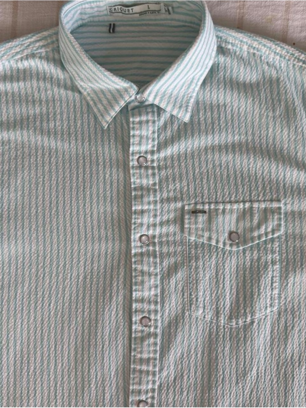 Criquet Mint & White Striped Seersucker Snap-Front Casual Shirt